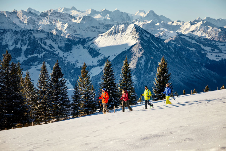 Eine Gruppe von vier Leuten bei einer Schneeschuhtour auf der Rigi.