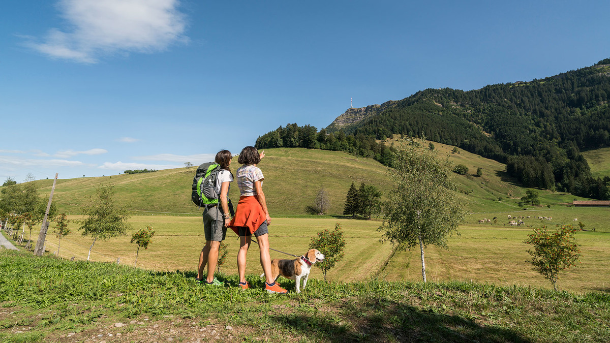 Seebodenalp mit Blick auf Rigi Kulm