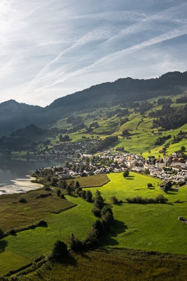 Blick auf den Lauerzersee