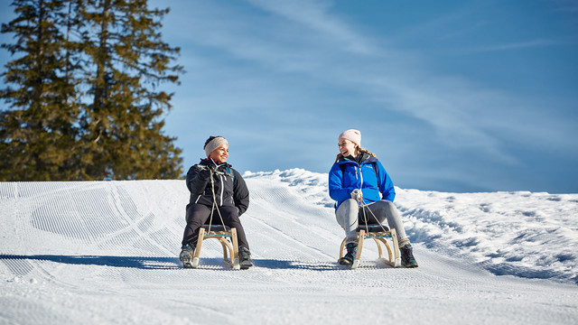 Schlitteln auf der Rigi