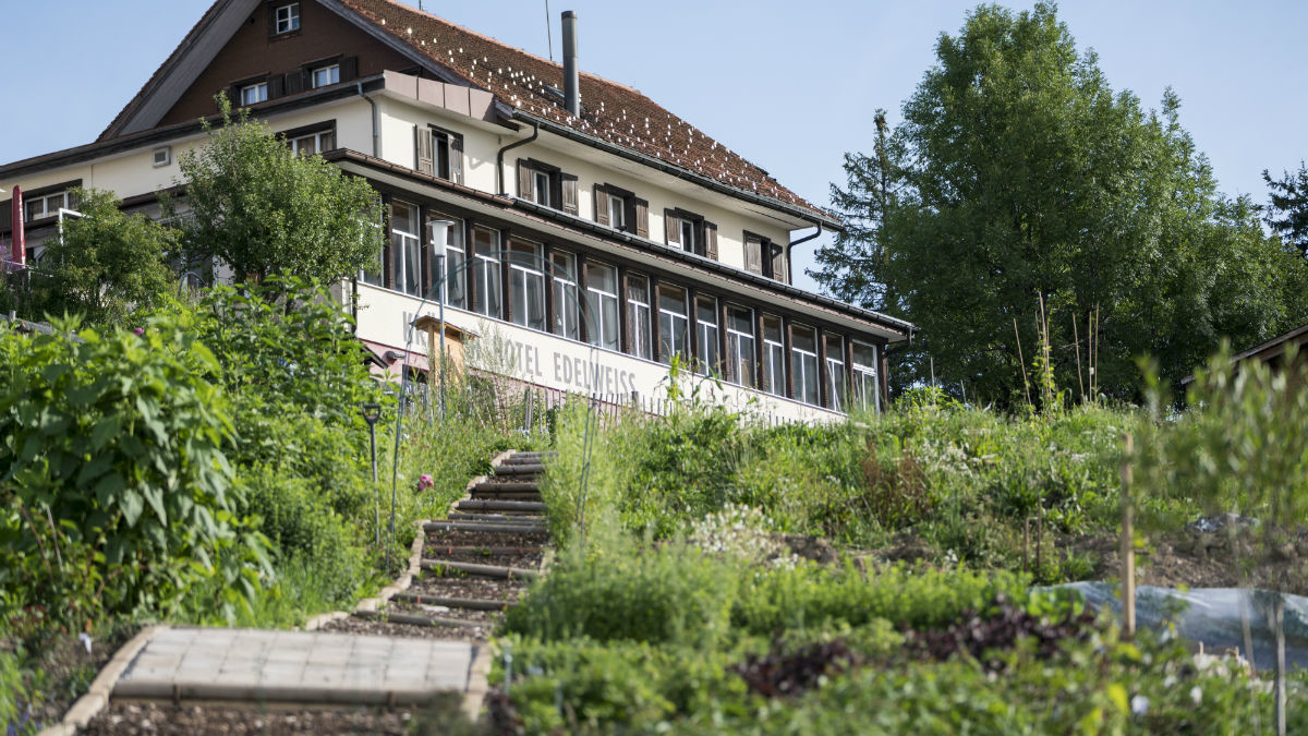 Kräuter Hotel Edelweiss