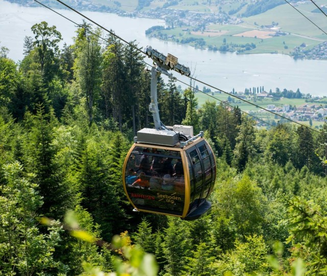 Luftseilbahn Küssnacht - Seebodenalp