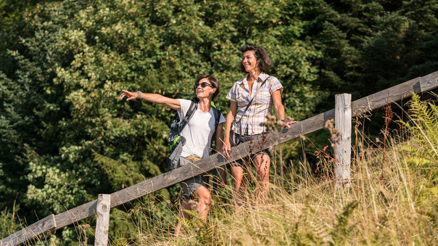 Wandern auf der Seebodenalp