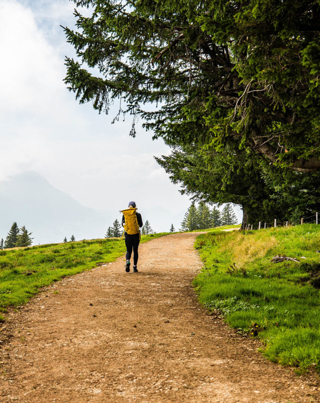 Rigi Scheidegg