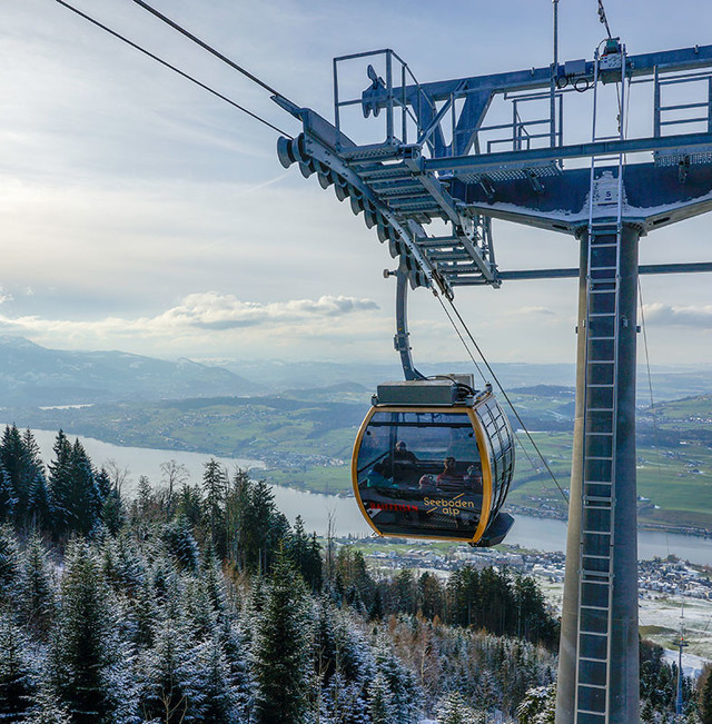 Luftseilbahn Küssnacht-Seebodenalp