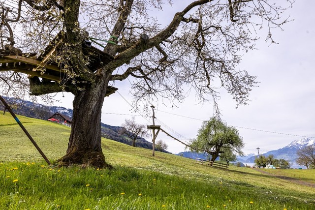 Seilpark Küssnacht am Rigi