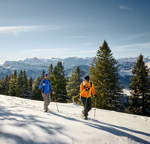 Schneeschuhlaufen auf der Rigi