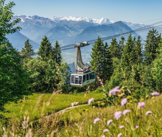 Die Luftseilbahn Weggis-Rigi Kaltbad hebt ab 