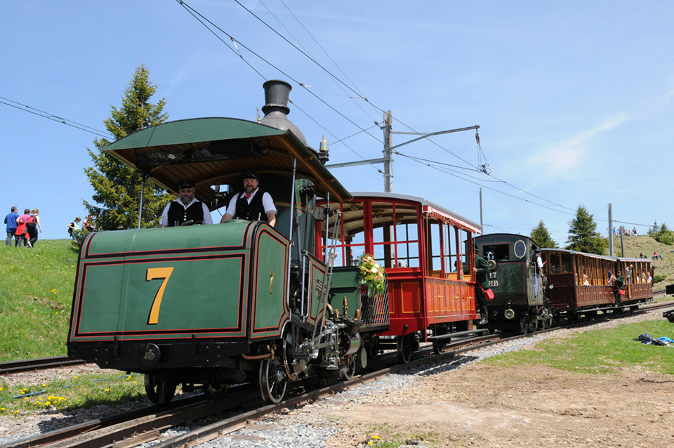 Lok 7