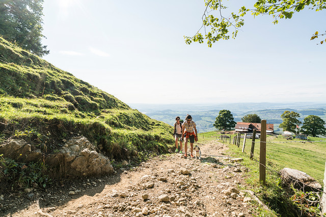 Wandern auf der Seebodenalp