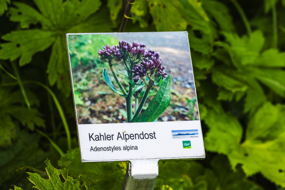 Das Schulzimmer befindet sich - nebst in der Natur - in einer Jurte. © Rigi Schule