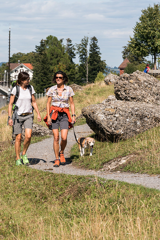 Wandern Seebodenalp