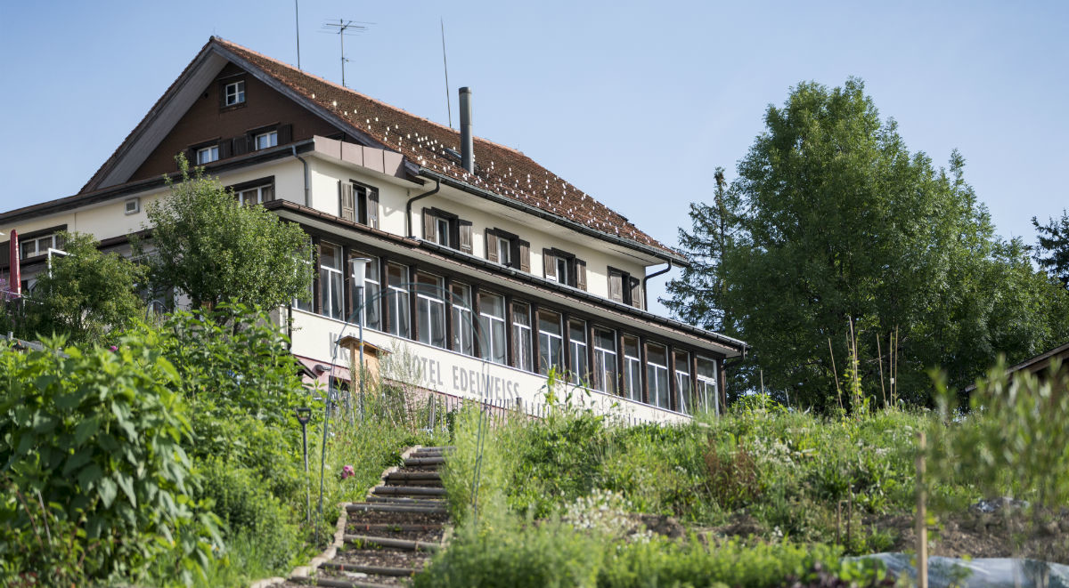 Kräuter Hotel Edelweiss