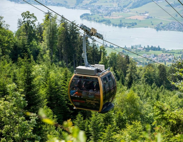 Luftseilbahn Küssnacht - Seebodenalp