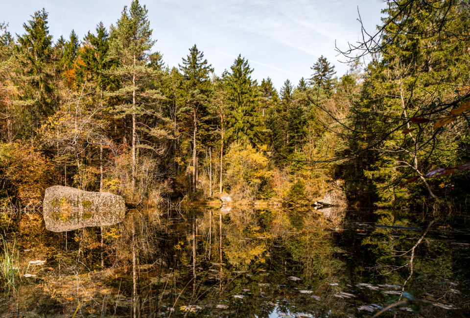 Naturschutzgebiet Sägel Schutt in Goldau