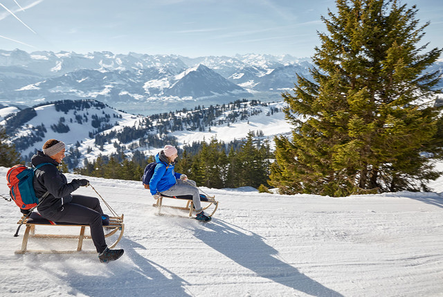Schlittelspass auf der Rigi