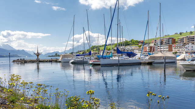 Küssnacht am See