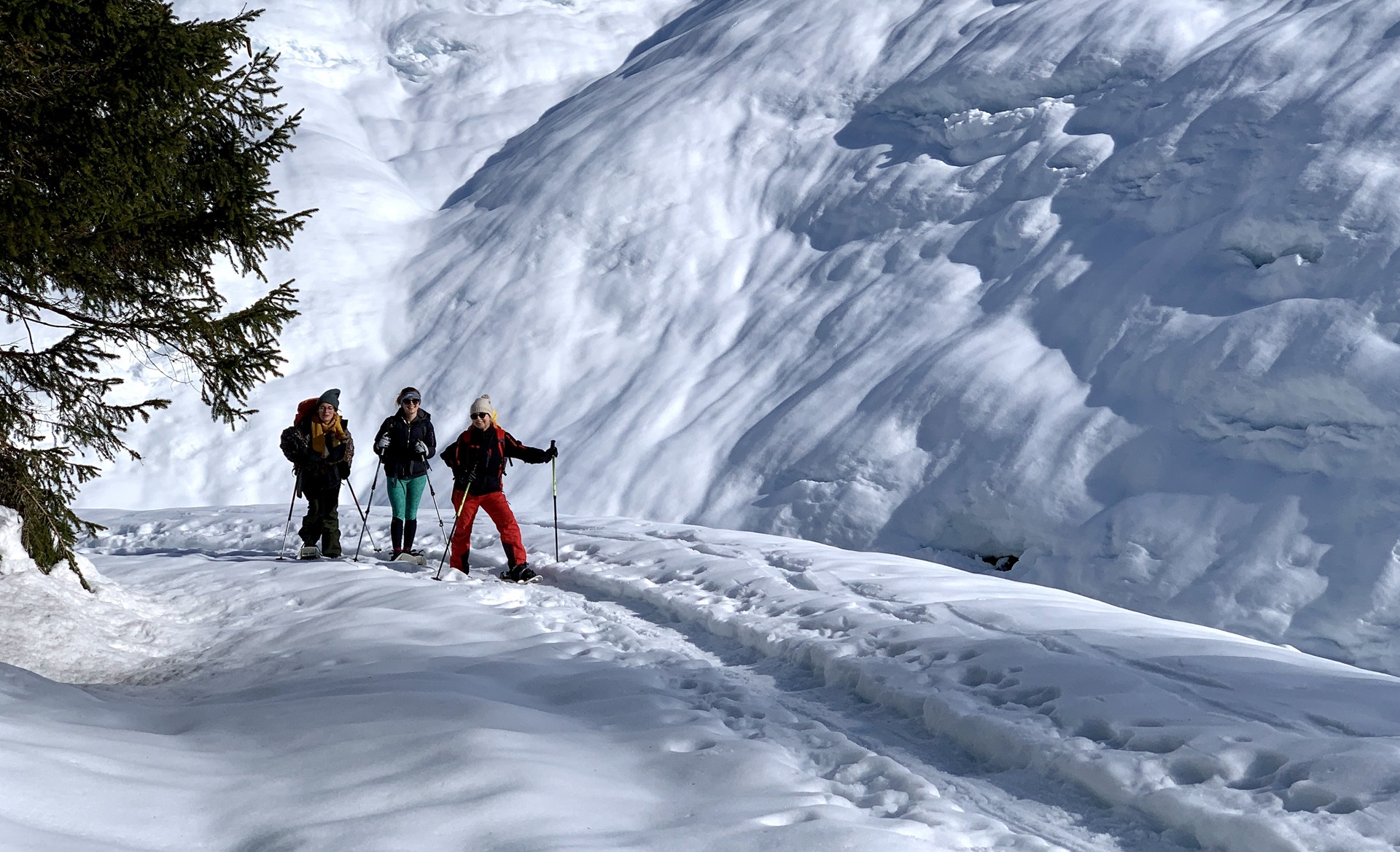 3 Frauen laufen mit Schneeschuhen und Stöcken entlang einem ausgepfadeten Weg, rechts neben ihnen ein schneebedeckter Hang, links eine grüne Tanne
