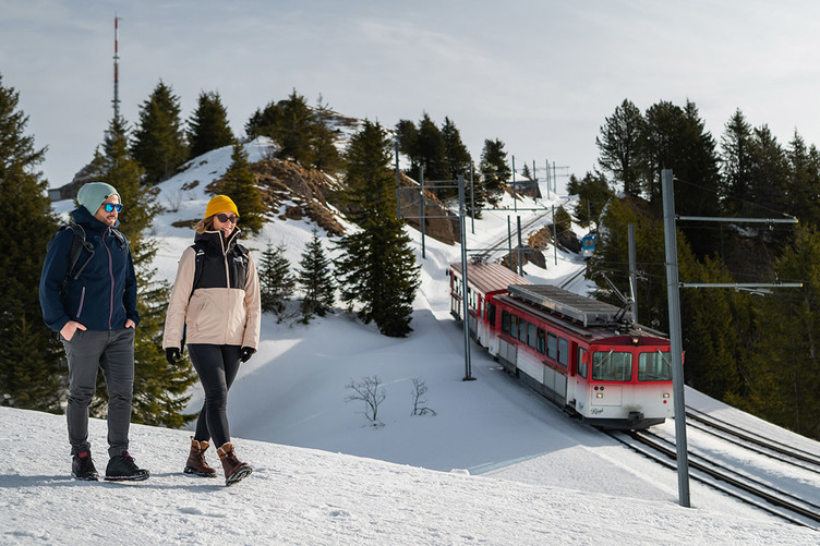 Winterwanderung Richtung Rigi Staffel